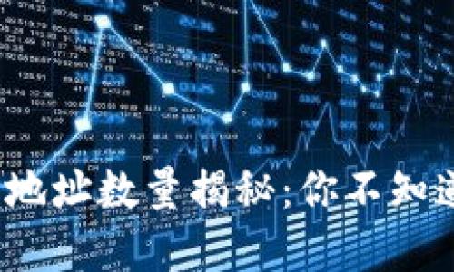 2023年比特币钱包地址数量揭秘：你不知道的比特币网络世界