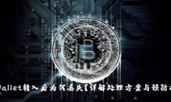 TPWallet转入后为何丢失？详