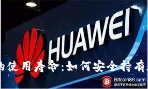 比特币钱包的使用寿命：如何安全持有和管理比特币