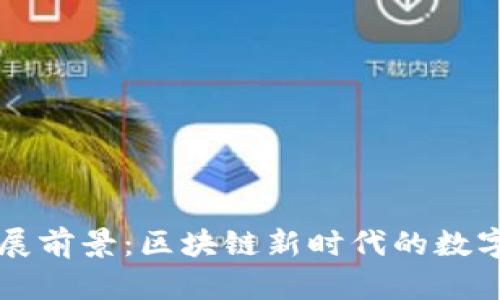 以太坊钱包发展前景：区块链新时代的数字资产管理利器