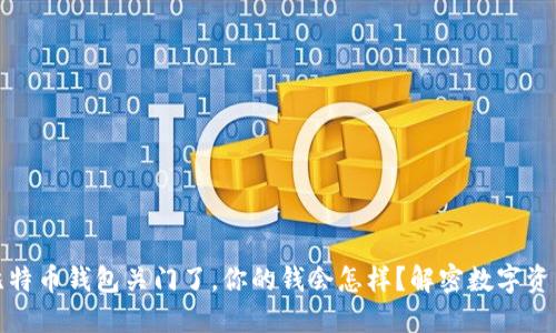 如果比特币钱包关门了，你的钱会怎样？解密数字资产安全