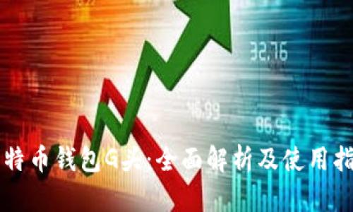 比特币钱包G头：全面解析及使用指南
