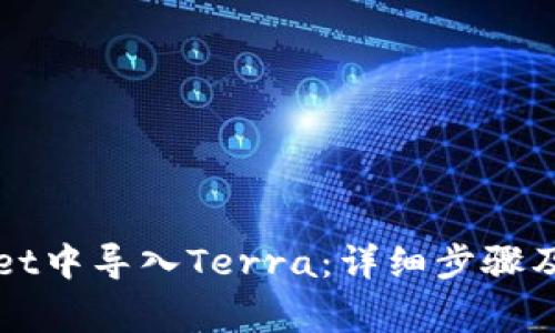如何在TPWallet中导入Terra：详细步骤及常见问题解答