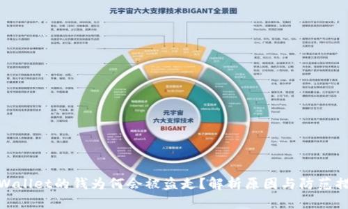 TPWallet的钱为何会被盗走？解析原因与防范措施