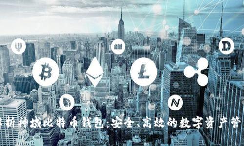 全面解析神域比特币钱包：安全、高效的数字资产管理工具