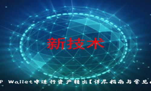 如何在TP Wallet中进行资产转出？详尽指南与常见问题解答