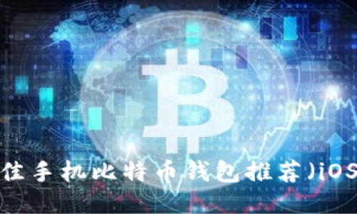 2023年最佳手机比特币钱包推荐（iOS用户必看）