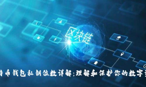 比特币钱包私钥位数详解：理解和保护你的数字资产