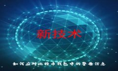 如何应对比特币钱包中的