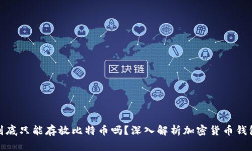: 比特币钱包到底只能存放比特币吗？深入解析加密货币钱包的类型与功能