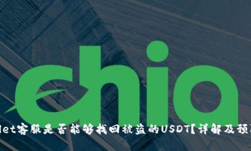 tpwallet客服是否能够找回被盗的USDT？详解及预防措施