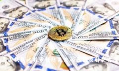美国钱包比特币转账失败的原因及解决方案
