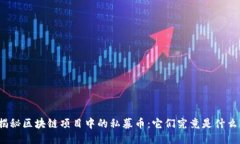 揭秘区块链项目中的私募币：它们究竟是什么？