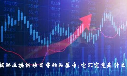 揭秘区块链项目中的私募币：它们究竟是什么？