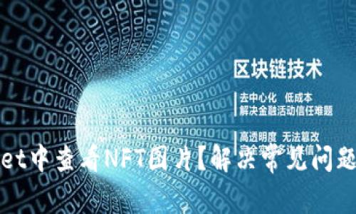 如何在TPWallet中查看NFT图片？解决常见问题的方法全攻略