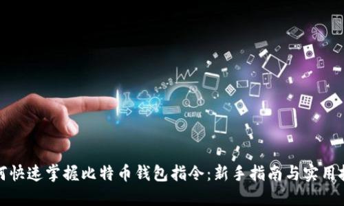 如何快速掌握比特币钱包指令：新手指南与实用技巧