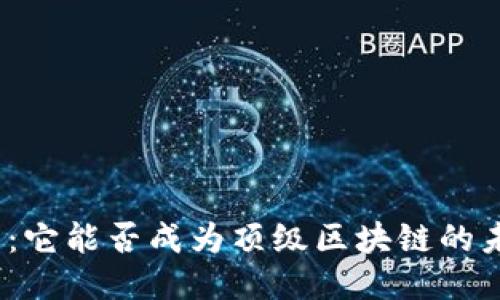 探索派币：它能否成为顶级区块链的未来领袖？