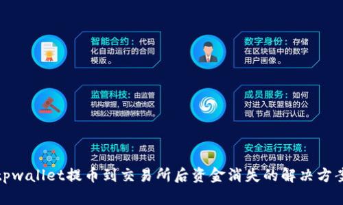 tpwallet提币到交易所后资金消失的解决方案