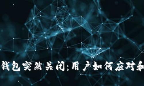 imToken TRX钱包突然关闭：用户如何应对和寻找解决方案