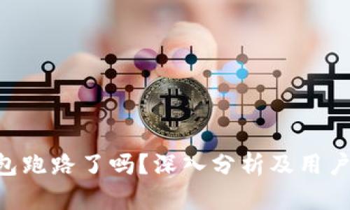 Token钱包跑路了吗？深入分析及用户保护指南