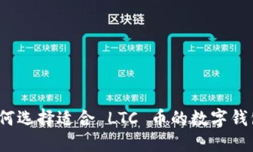 如何选择适合 LTC 币的数字钱包？