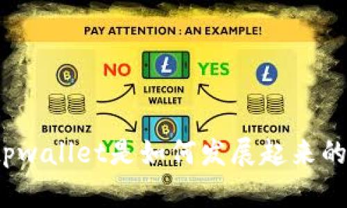 tpwallet是如何发展起来的？