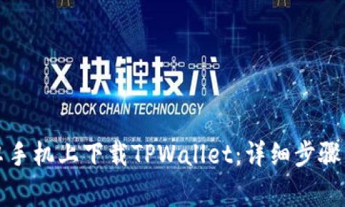 如何在安卓手机上下载TPWallet：详细步骤与注意事项
