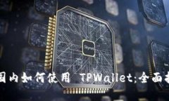 在国内如何使用 TPWallet：全面指南
