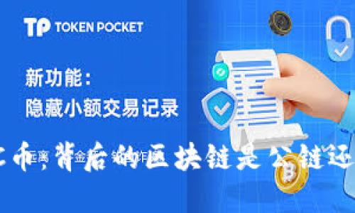 探秘SCC币：背后的区块链是公链还是私链？