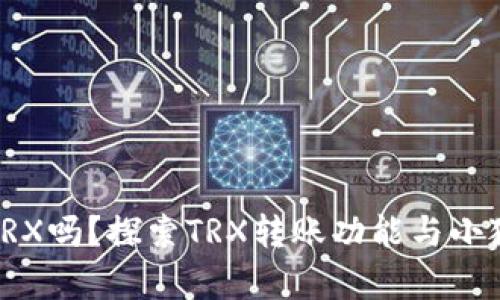 小狐狸钱包能转TRX吗？探索TRX转账功能与小狐狸钱包的兼容性