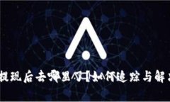 USDT钱包提现后去哪里了？如何追踪与解决常见问