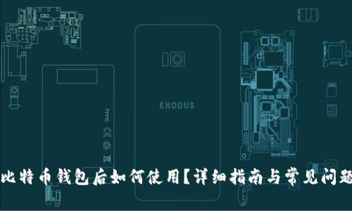 下载比特币钱包后如何使用？详细指南与常见问题解答