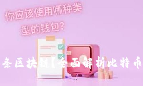 比特币有多少条区块链？全面解析比特币及其技术基础
