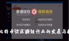 用比特币谈区块链行业的发展与挑战