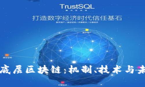比特币底层区块链：机制、技术与未来发展