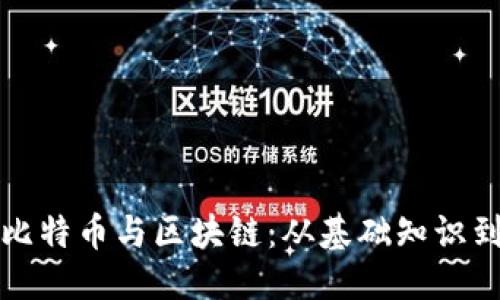 与关键词

深入了解比特币与区块链：从基础知识到应用前景
