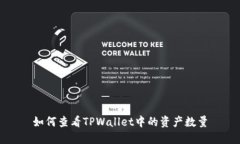 如何查看TPWallet中的资产数量