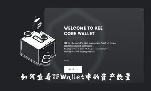 如何查看TPWallet中的资产数量