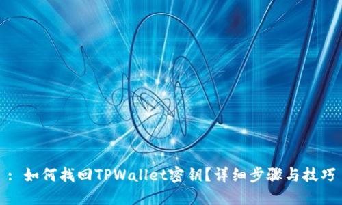 : 如何找回TPWallet密钥？详细步骤与技巧