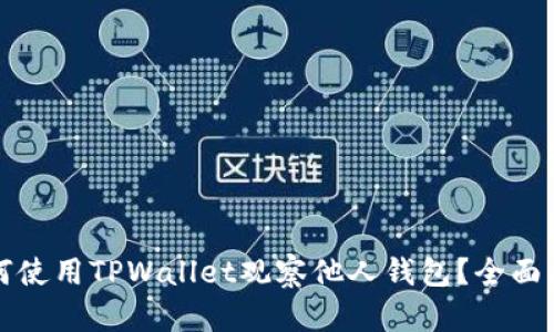 如何使用TPWallet观察他人钱包？全面指南