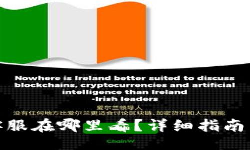 Title:
以太坊钱包的客服在哪里看？详细指南与常见问题解答