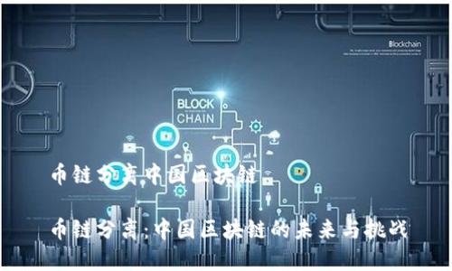 币链分离中国区块链

币链分离：中国区块链的未来与挑战