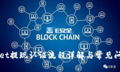 TPWallet提现认证流程详解与常见问题解析