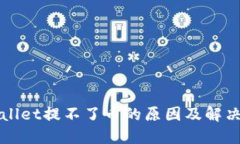 TPWallet提不了币的原因及解决方案