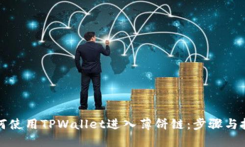 如何使用TPWallet进入薄饼链：步骤与技巧