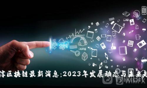 杨淳区块链最新消息：2023年发展动态与未来趋势