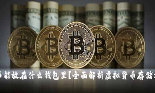 屎币能放在什么钱包里？全面解析虚拟货币存储方案