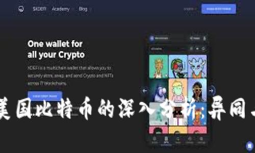 区块链与美国比特币的深入分析：异同与未来展望