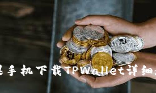 苹果手机下载TPWallet详细教程
