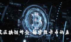 新加坡区块链峰会：解密维卡币的未来潜力